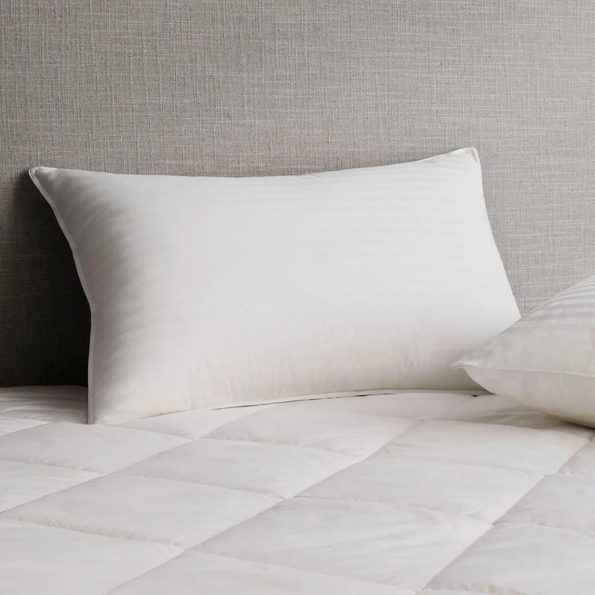 Deluxe Feather & Down Latex Pillow
