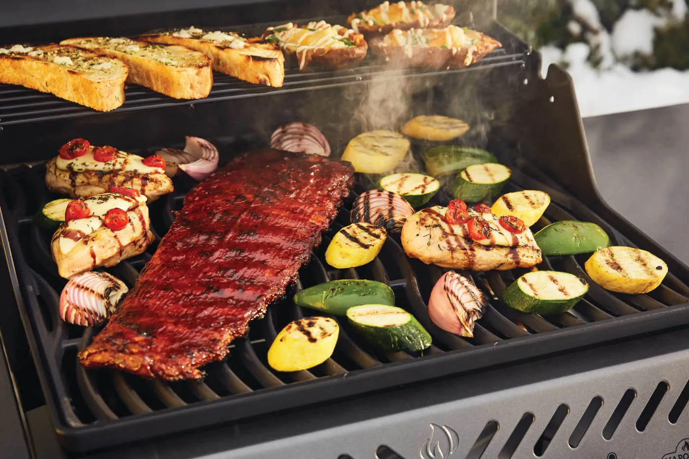 Freestyle 365 Gas Grill By Napoleon