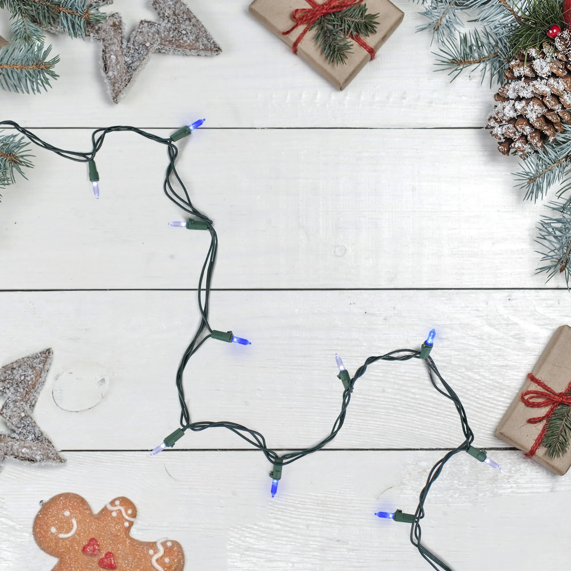 relaxed 100ct LED Mini Christmas Lights Green - 33' Green Wire Blue