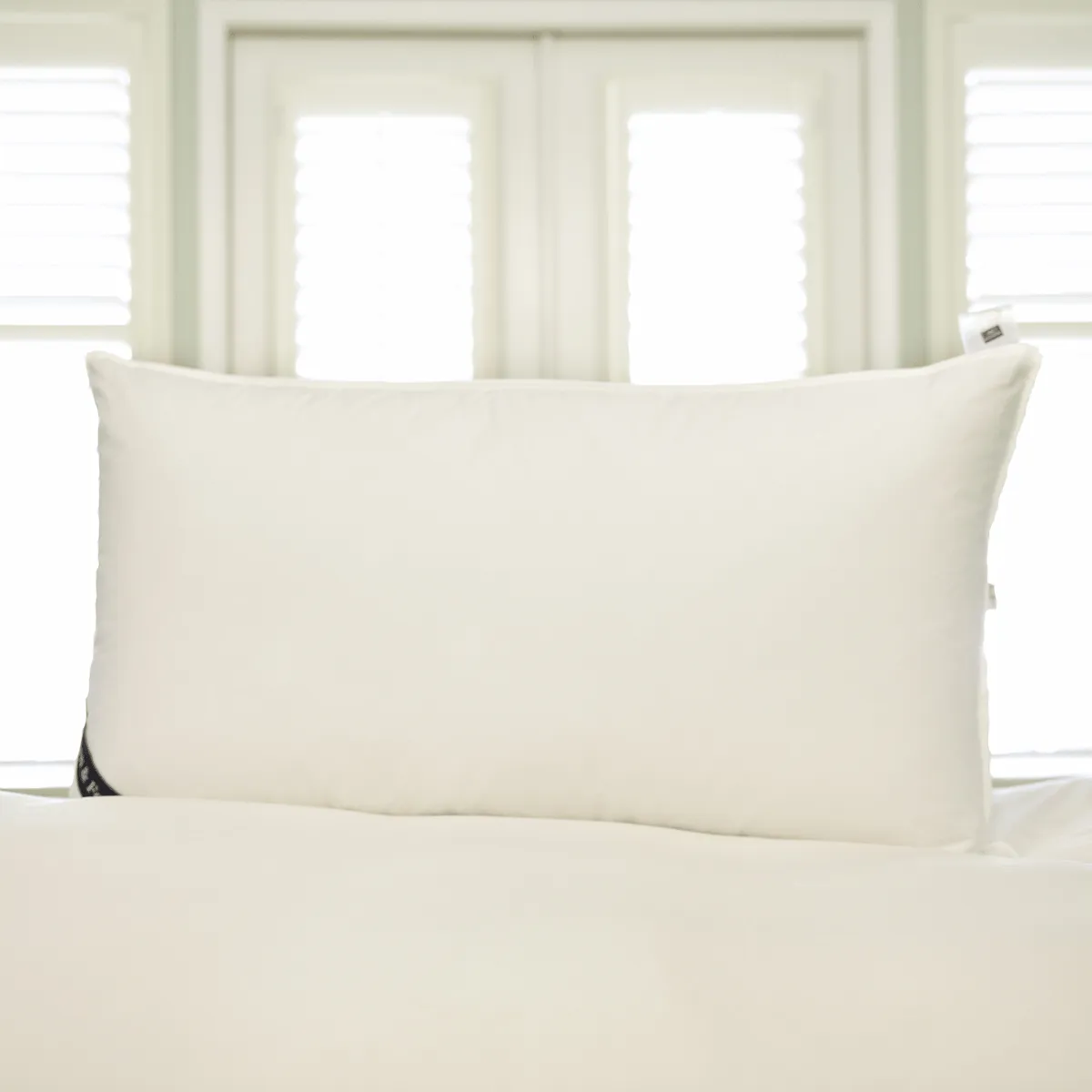 Snuggle Soft 700 Goose Down Pillow King Size - Medium
