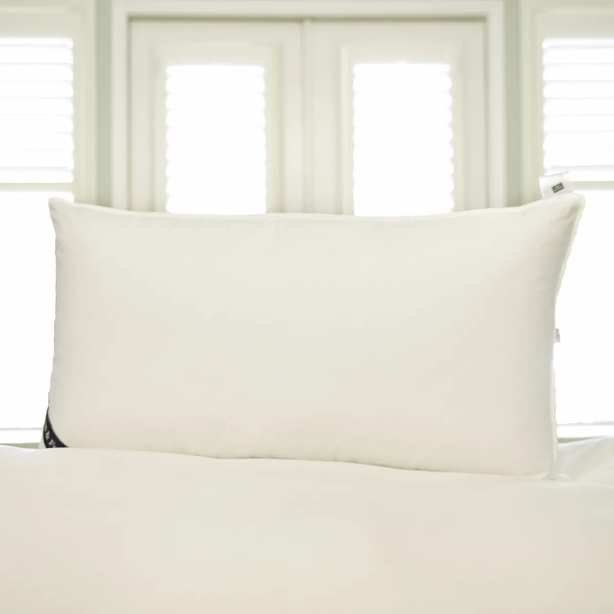 Snuggle Soft 850 Fill Power Goose Down Pillows - King (20" x 36")