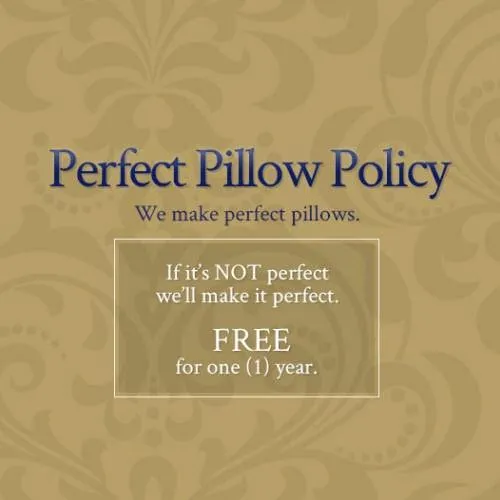 Snuggle Soft 850 Fill Power Goose Down Pillows